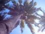 phil3_IMG_0039 