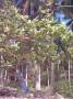 phil3_IMG_0067 