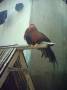 phil3_IMG_0118 
